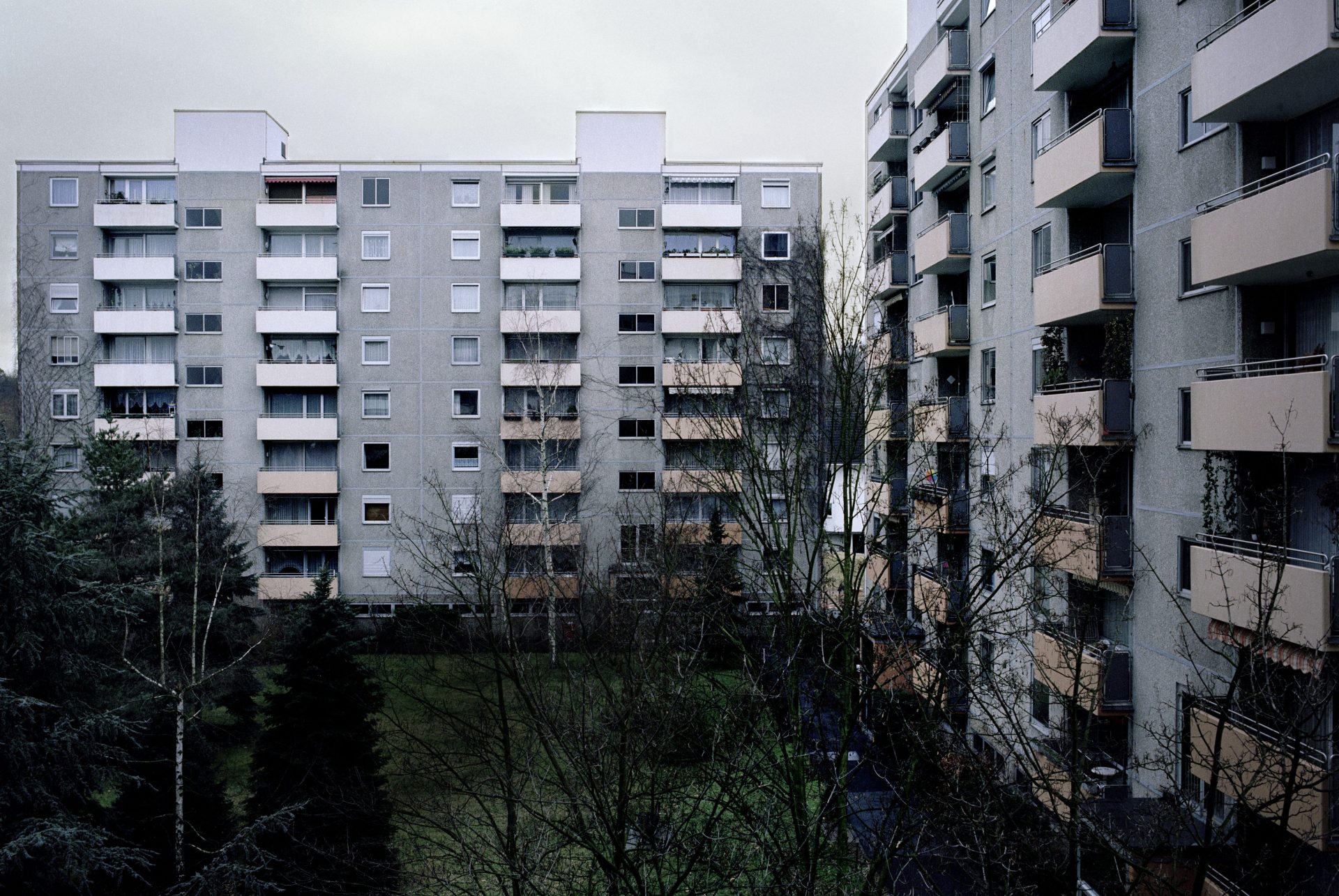 Fensterblicke, 2005